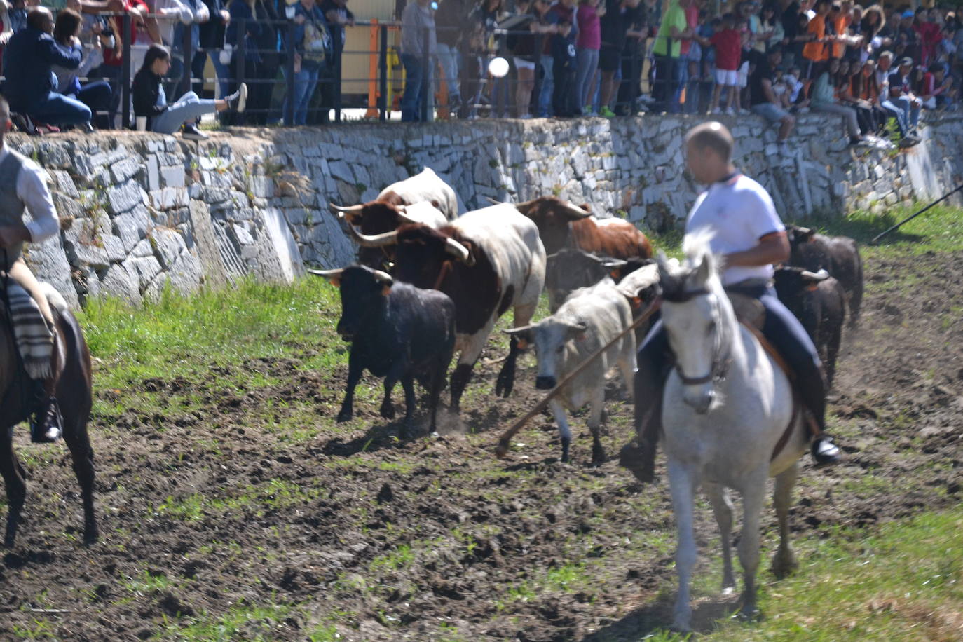 Sancti Spíritus al galope en su primer encierro de Corpus