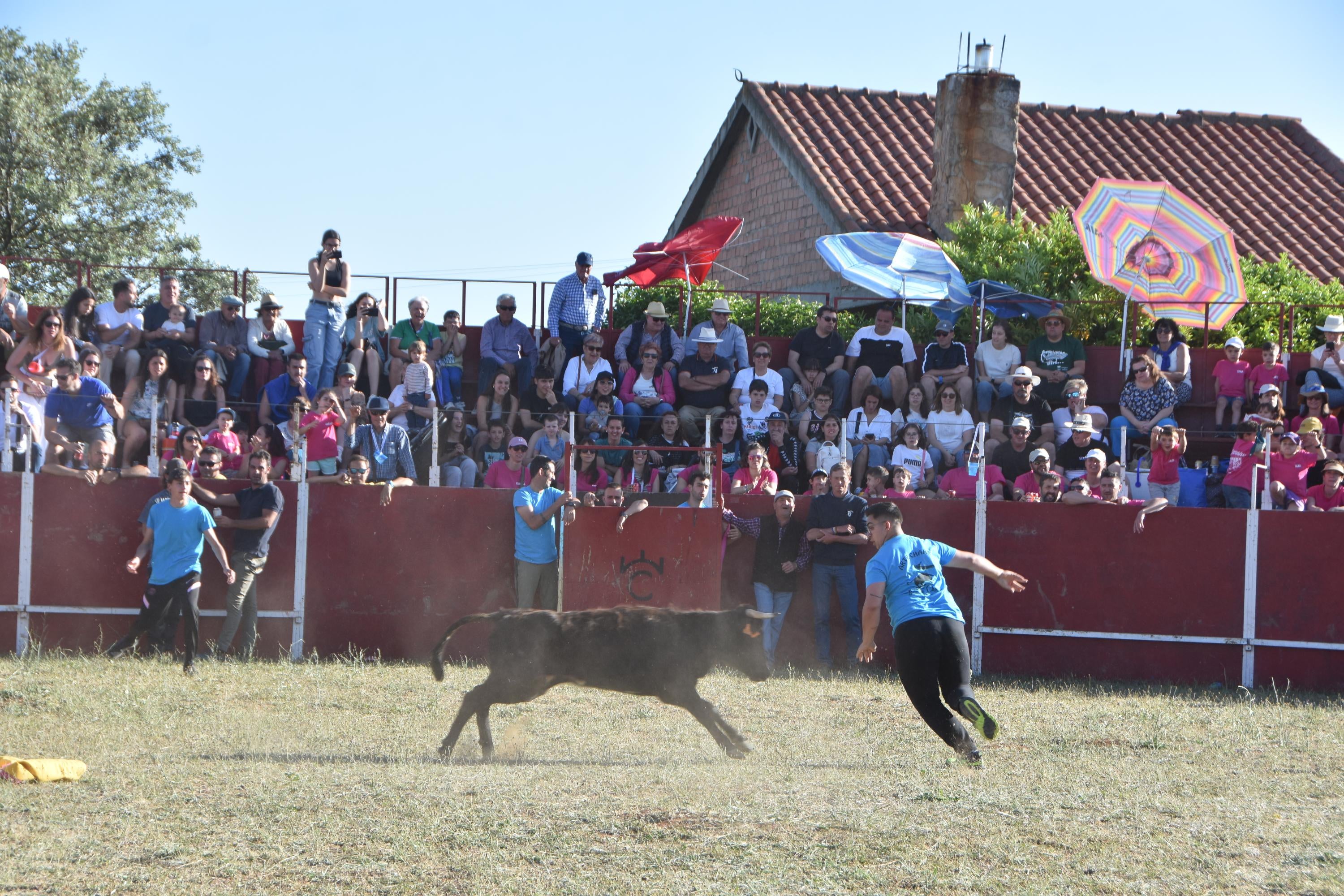 Grand Prix de risas y diversión en Aldeatejada