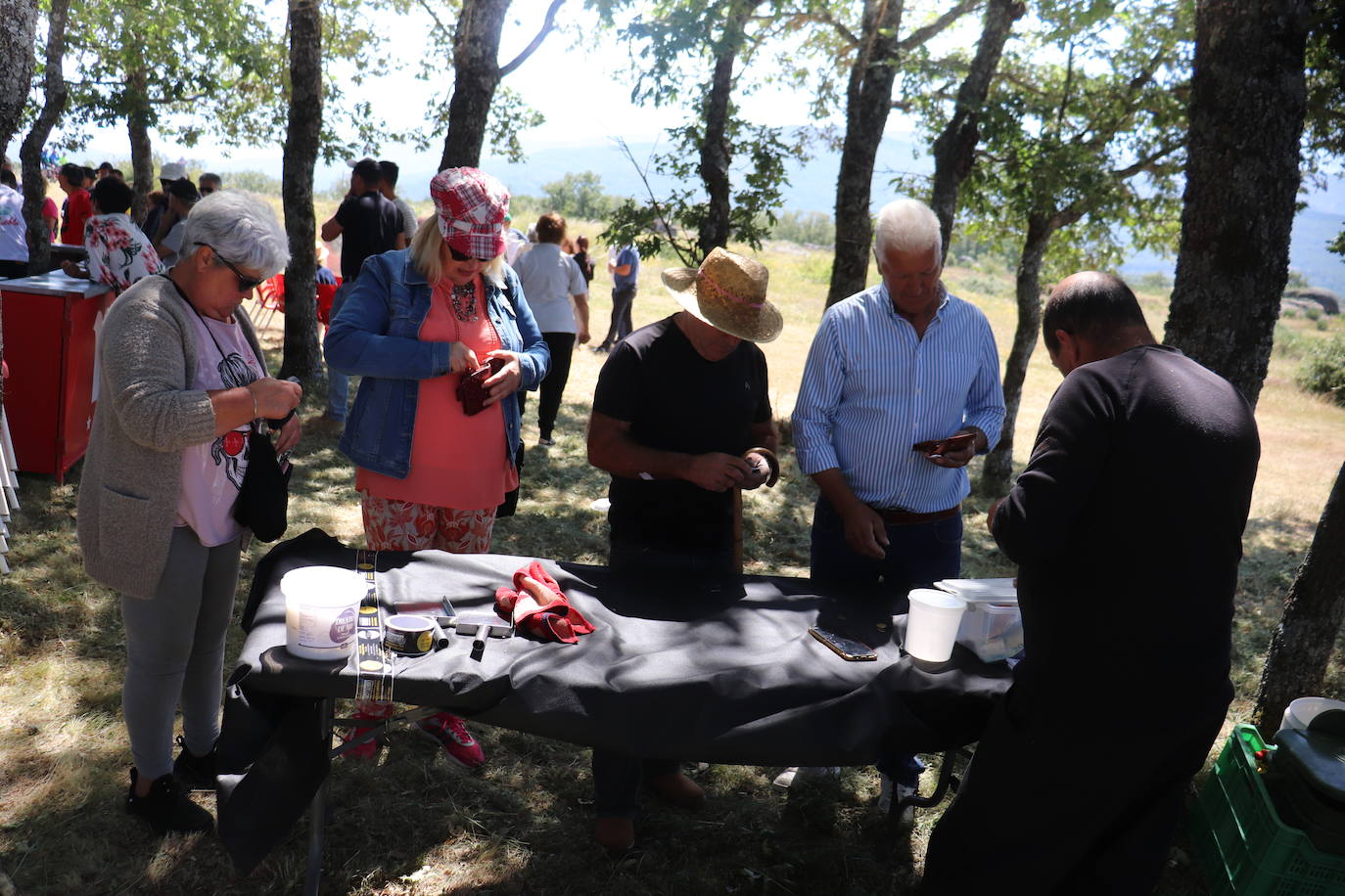 Aldeacipreste rinde homenaje a la trashumancia