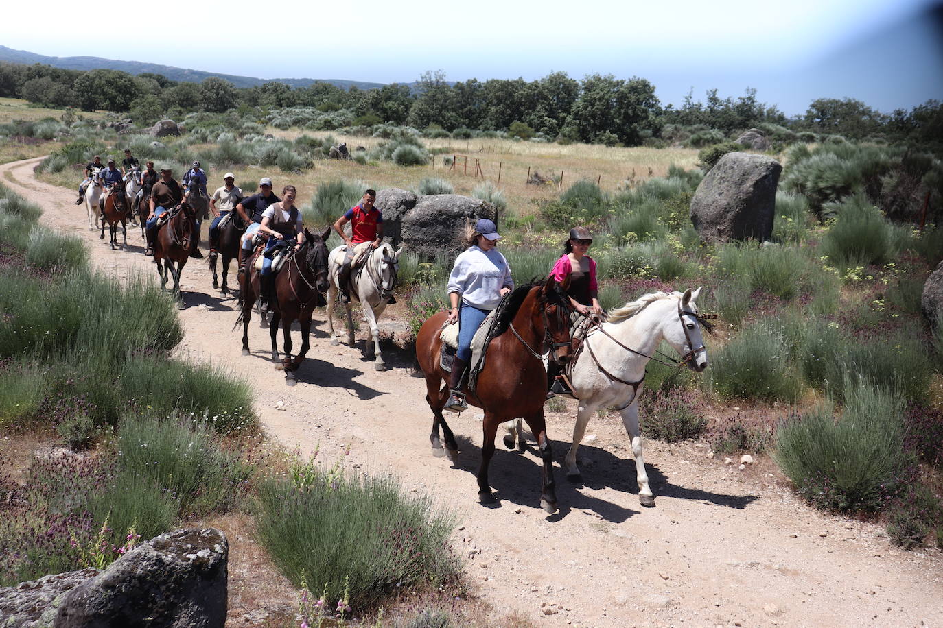 Aldeacipreste rinde homenaje a la trashumancia