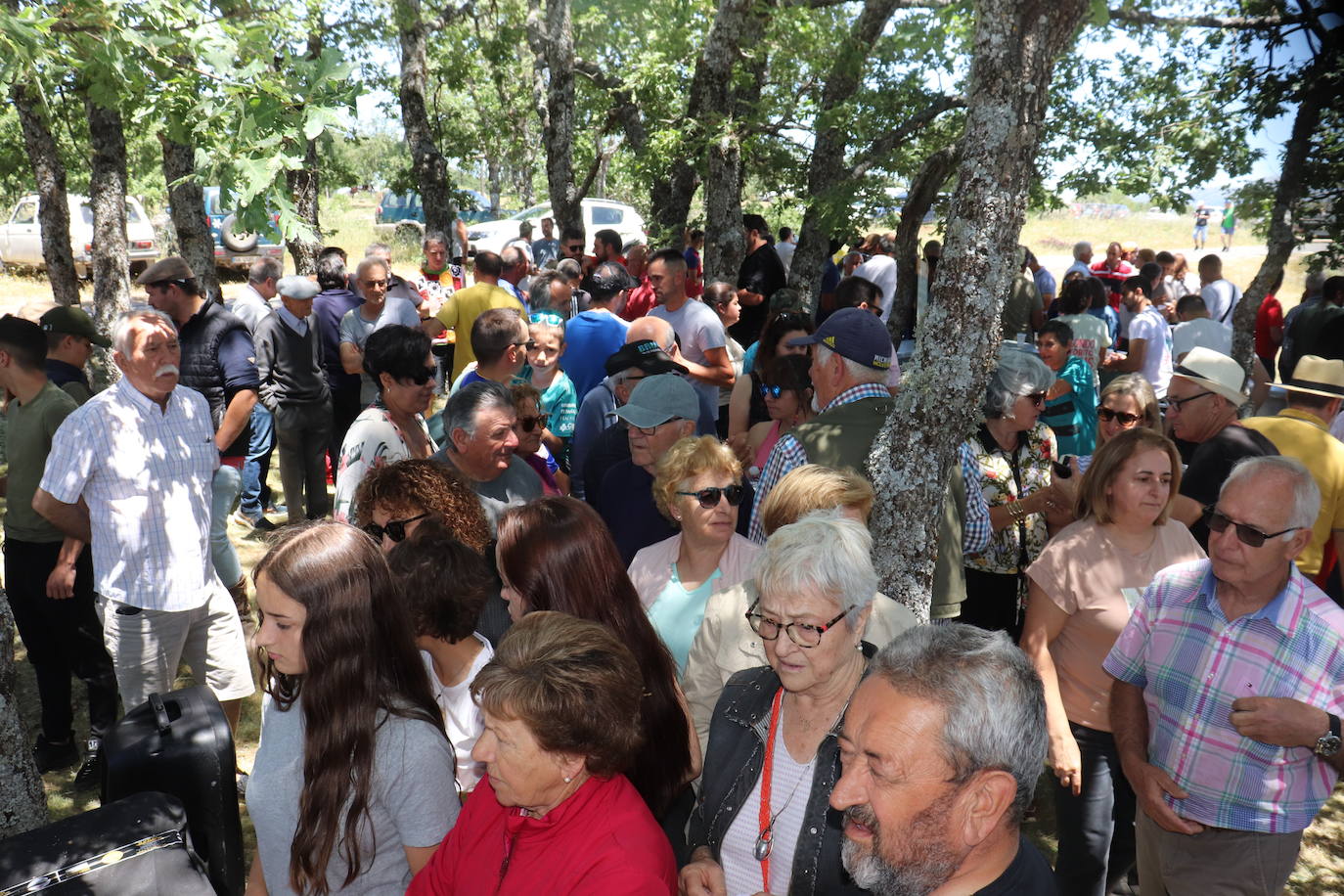 Aldeacipreste rinde homenaje a la trashumancia