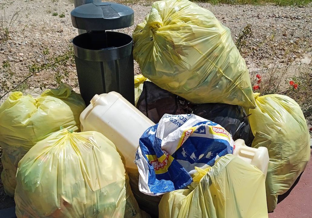 Parte de los residuos recogidos por los ciudadanos.