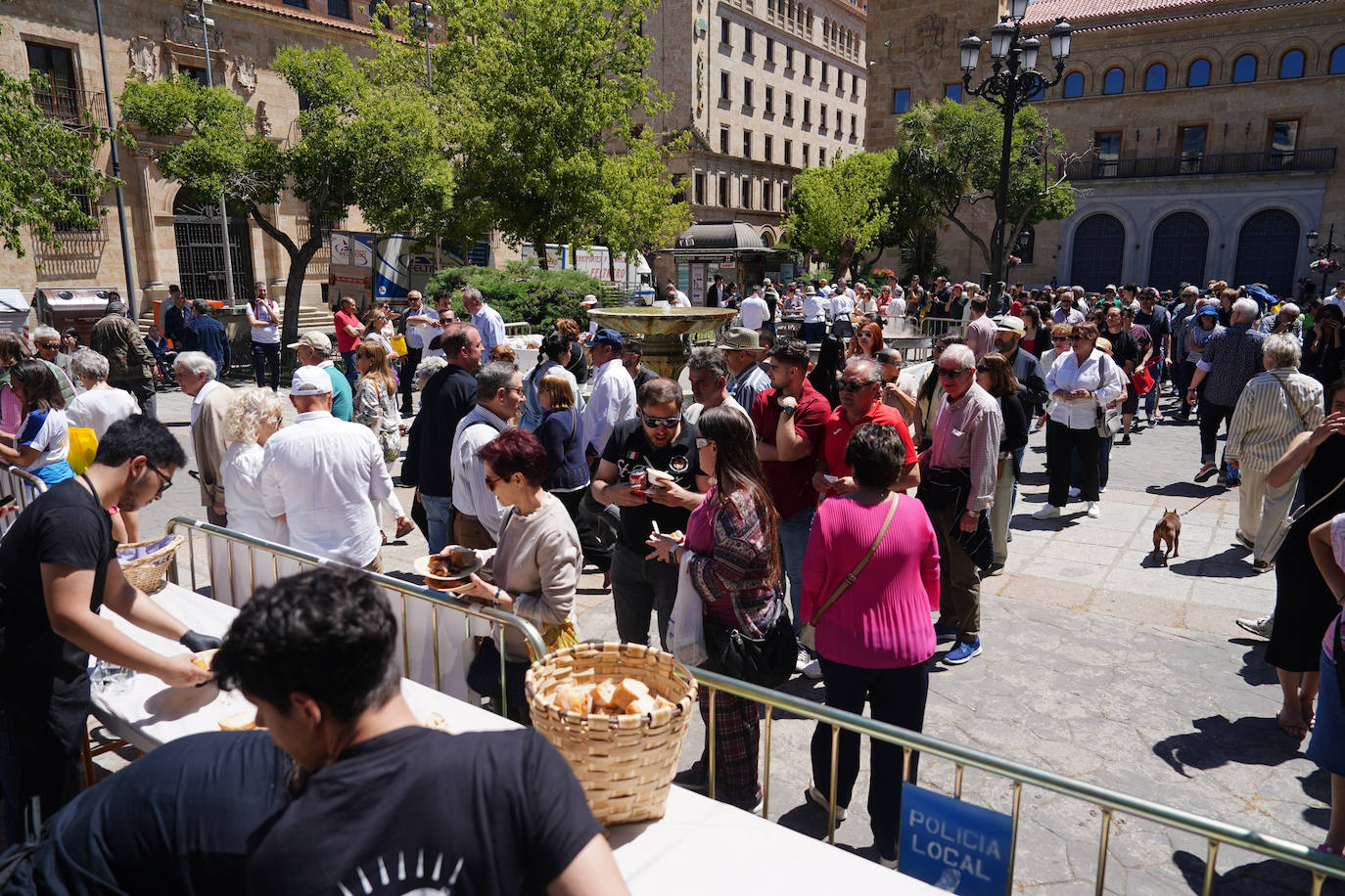 Miles de salmantinos disfrutan de una exitosa jornada de ibérico en el centro