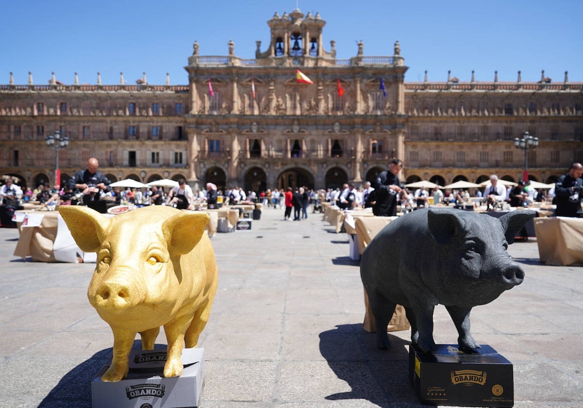 Miles de salmantinos disfrutan de una exitosa jornada de ibérico en el centro