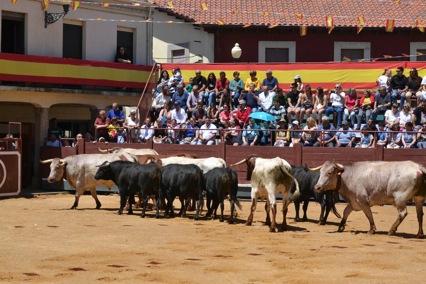 María, la princesa guerrera, invitada de excepción al cierre del Corpus en La Fuente de San Esteban