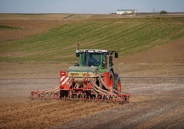 Un agricultor realiza labores en una parcela.