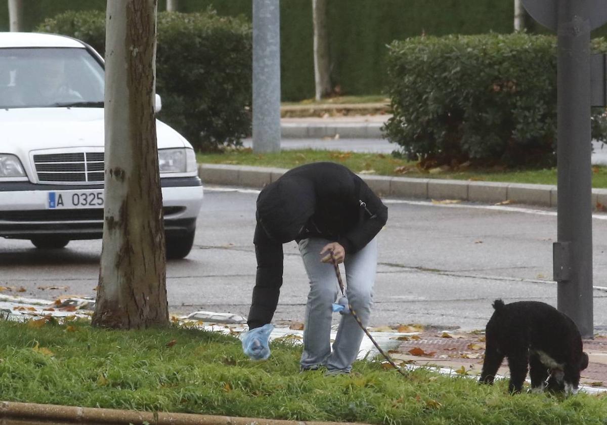 ¿Le parecen bien las nuevas sanciones por orinar en la calle y por no recoger los excrementos de los perros?