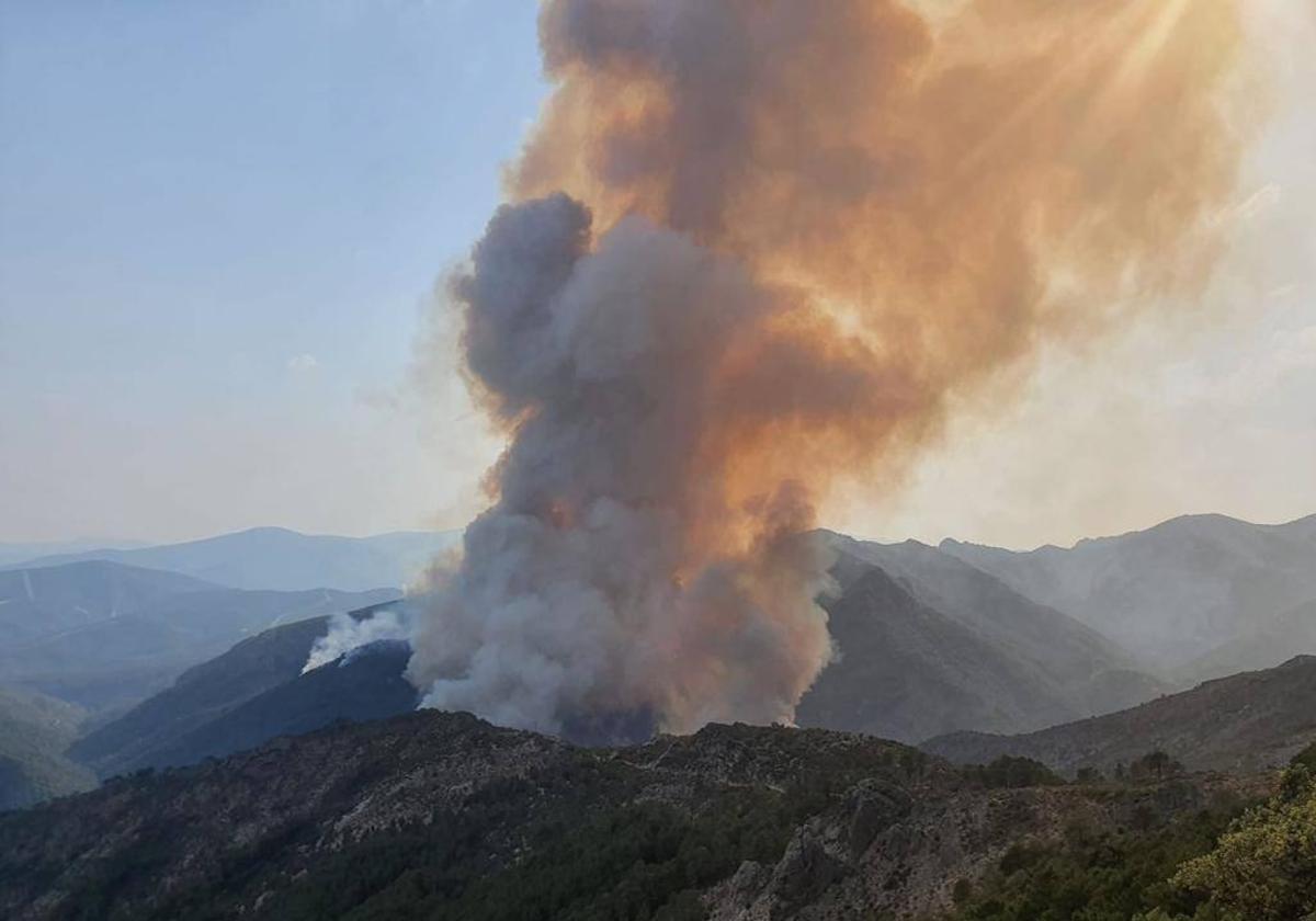 Declarado el peligro medio de incendios forestales del 7 al 11 de junio