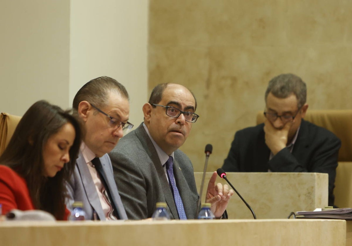 Carabias, segundo por la izquierda, durante una sesión plenaria.