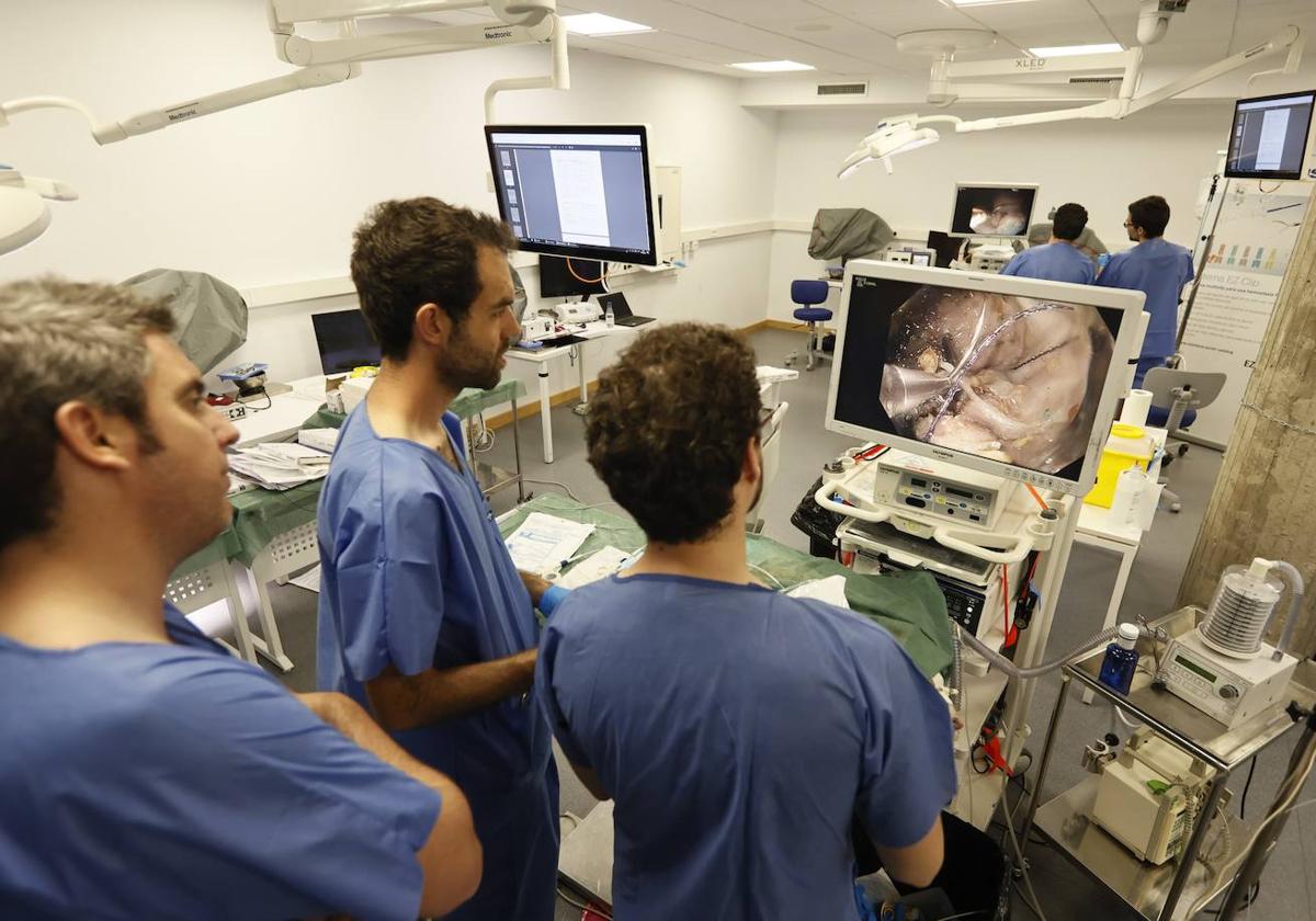 especialistas endoscopistas practican la nueva sutura endoscópica en un cerdo.