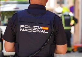 Un agente de la Policía Nacional de espaldas.