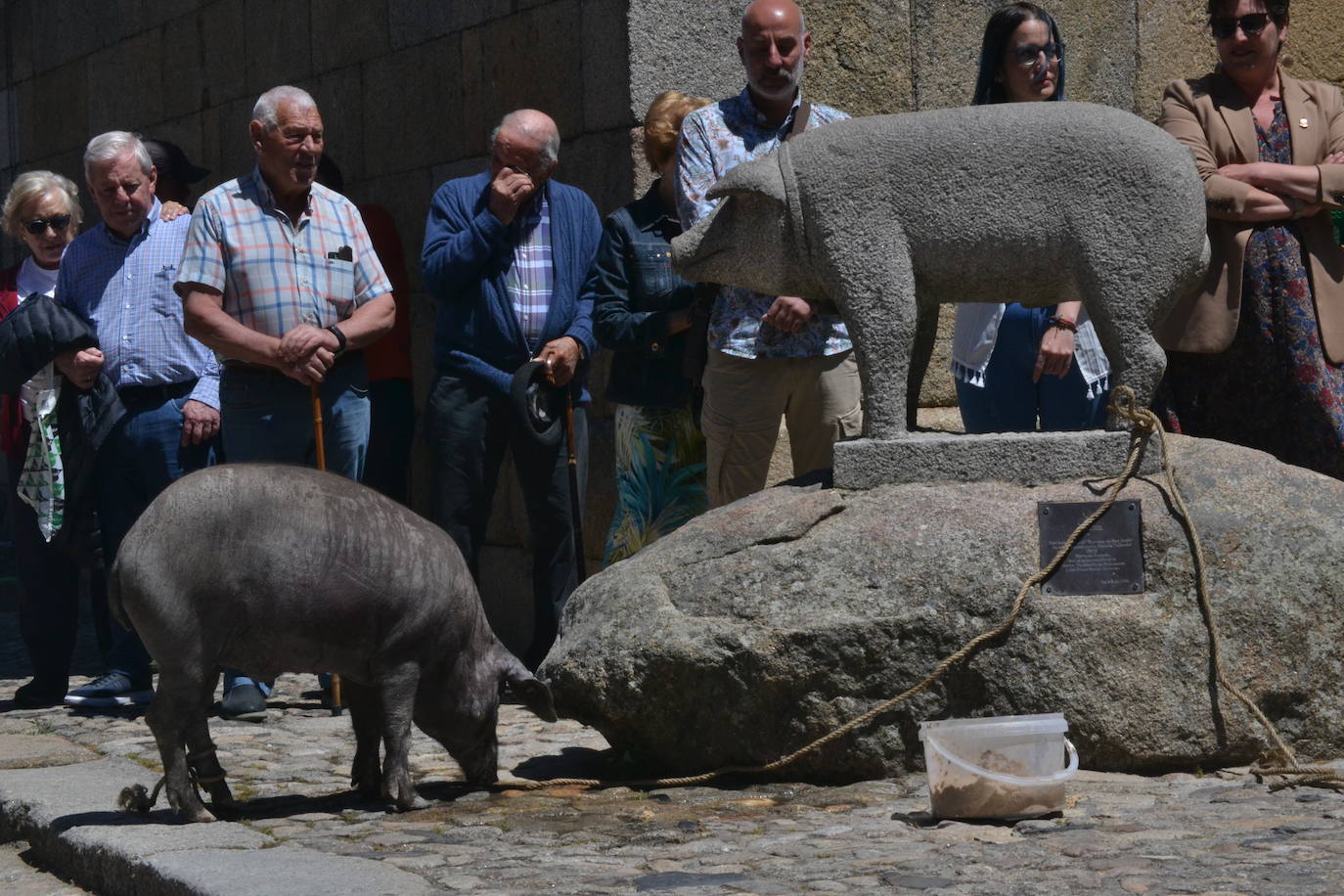 La Alberca recibe a un nuevo y peludo vecino