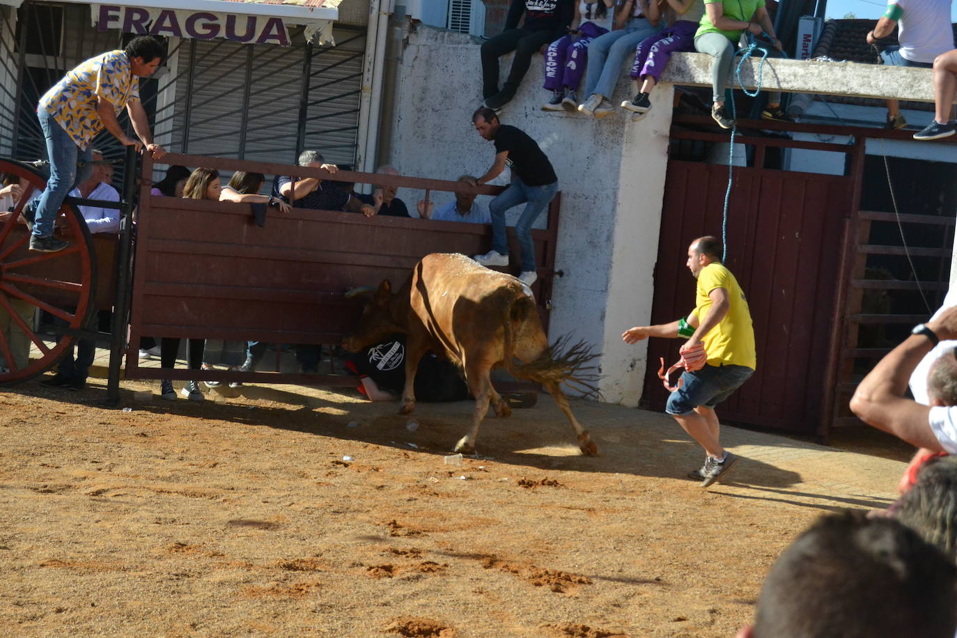 Martín de Yeltes sigue de fiesta con los toros como protagonistas