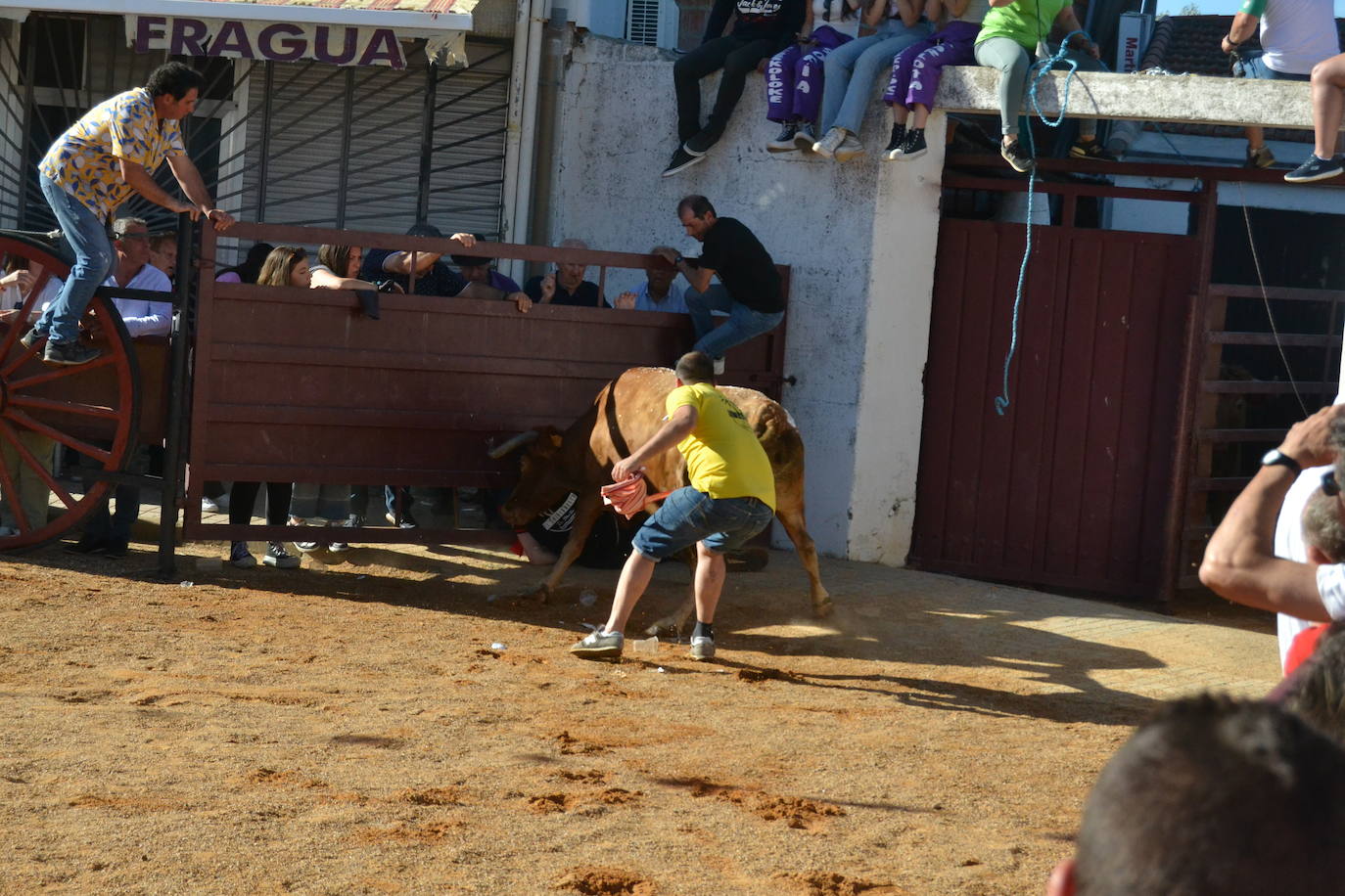 Martín de Yeltes sigue de fiesta con los toros como protagonistas