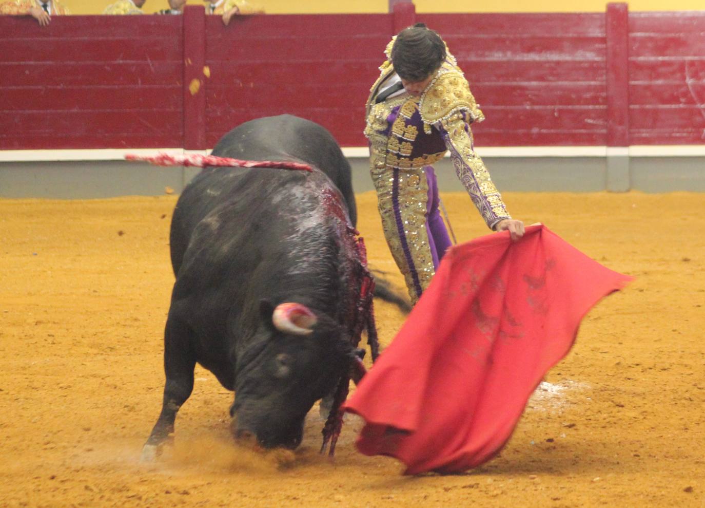 La corrida de toros benéfica en favor de la princesa guerrera, en imágenes