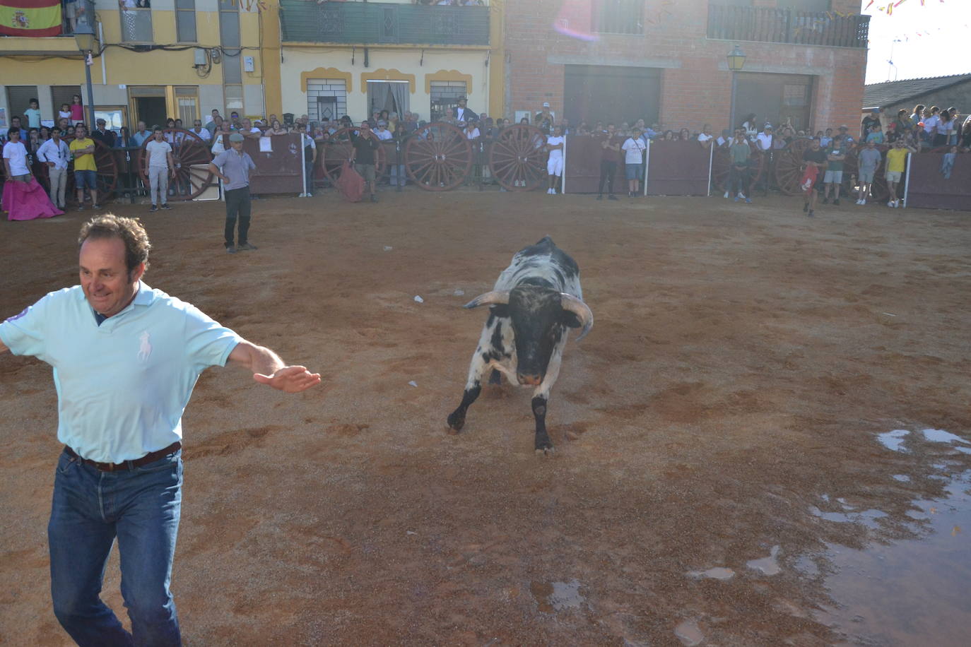 Martín de Yeltes sigue de fiesta con los toros como protagonistas