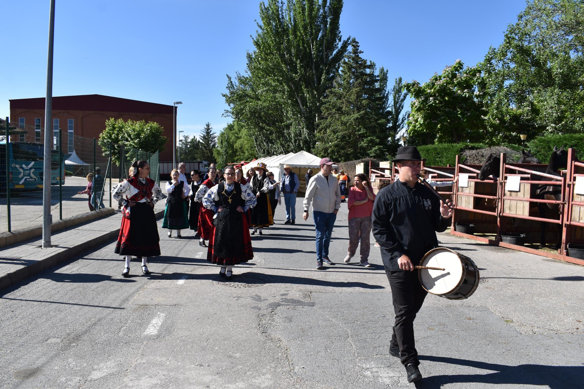 La Feria de San Antonio de Alba recupera su esencia con la vuelta del ganado