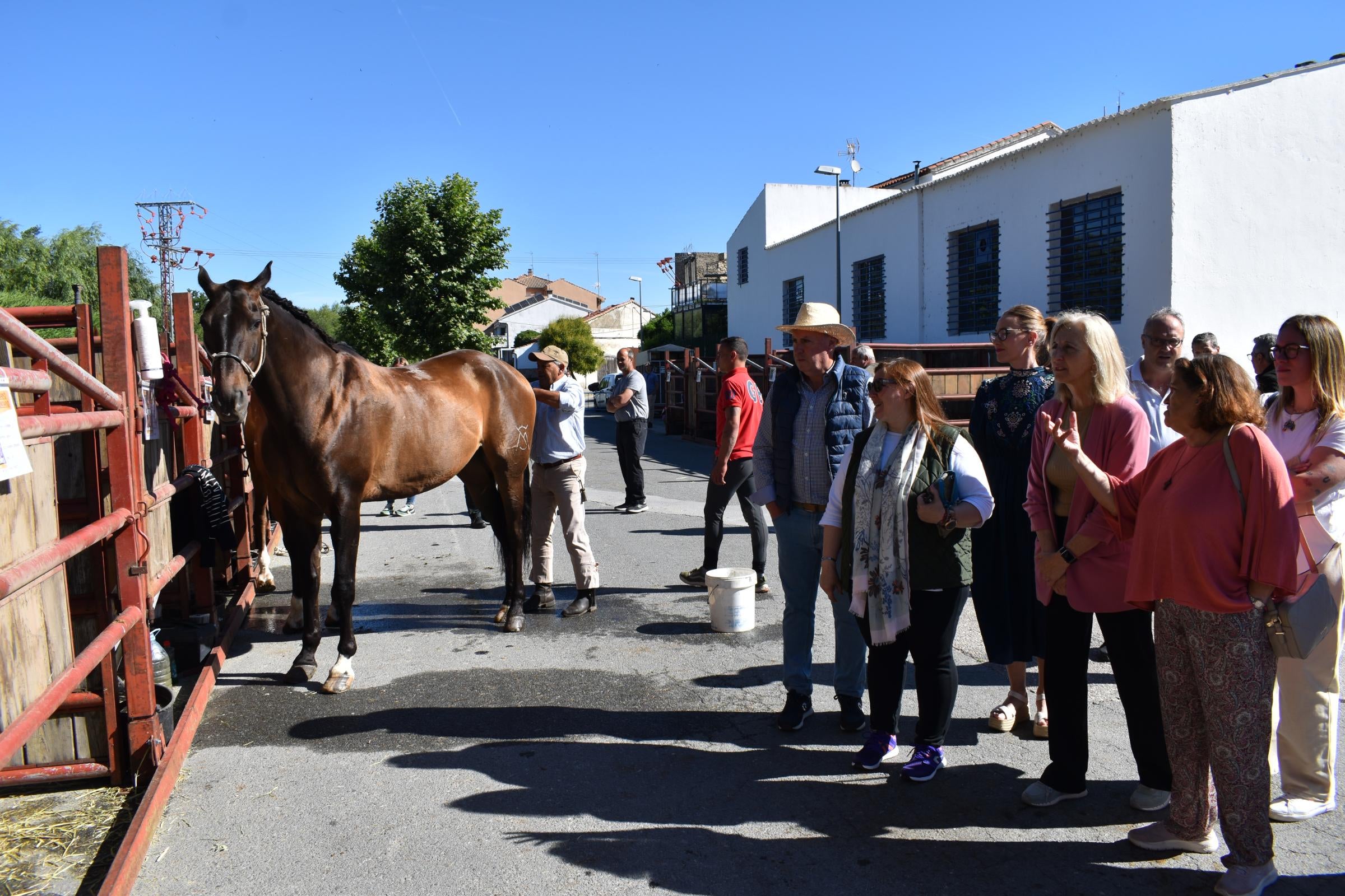 La Feria de San Antonio de Alba recupera su esencia con la vuelta del ganado