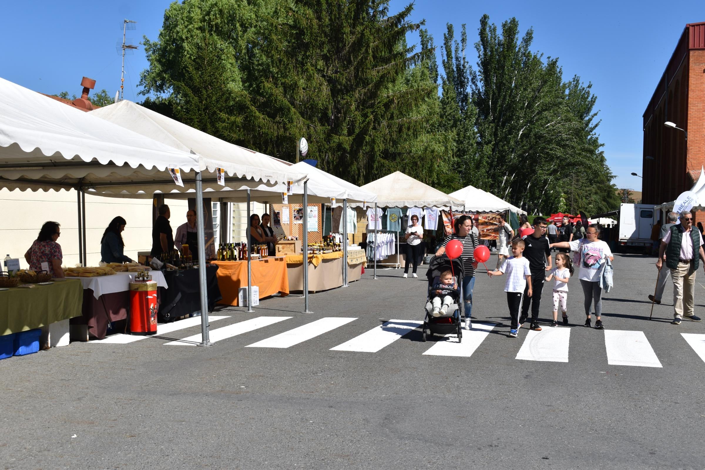 La Feria de San Antonio de Alba recupera su esencia con la vuelta del ganado