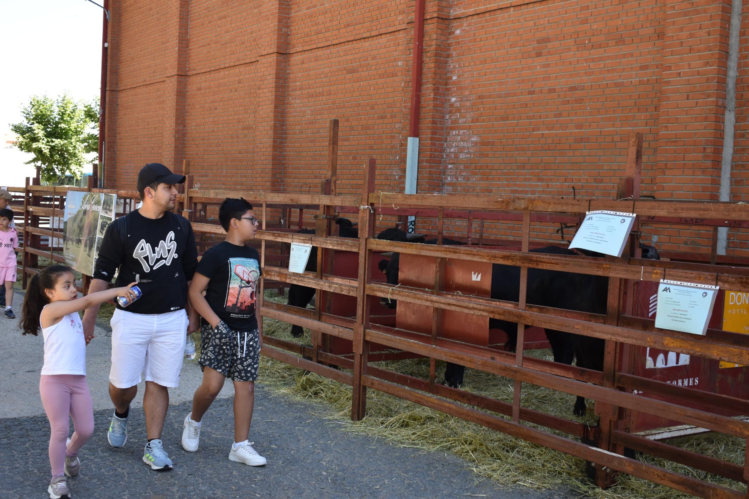 La Feria de San Antonio de Alba recupera su esencia con la vuelta del ganado