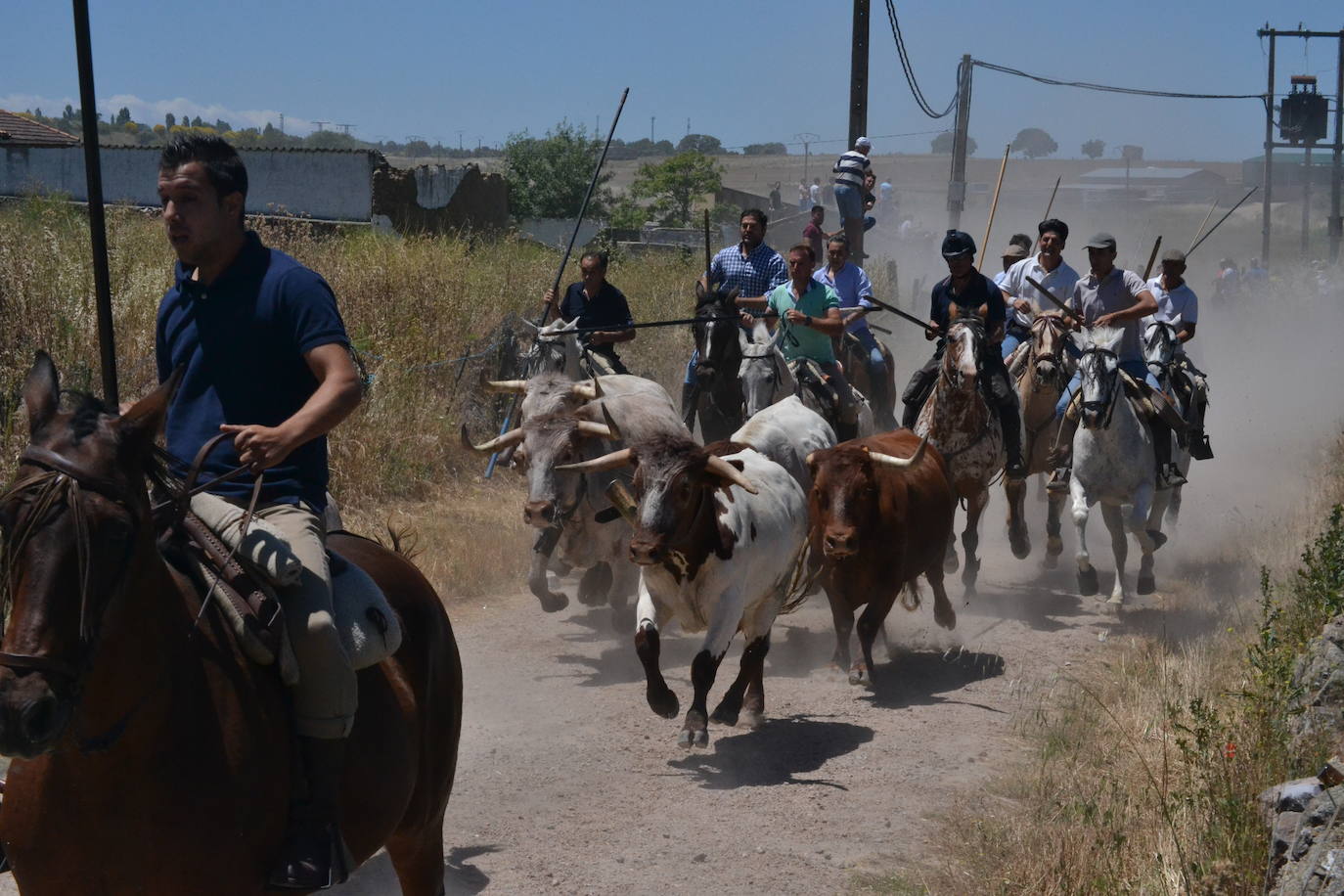 Rápido y vistoso encierro a caballo en Martín de Yeltes