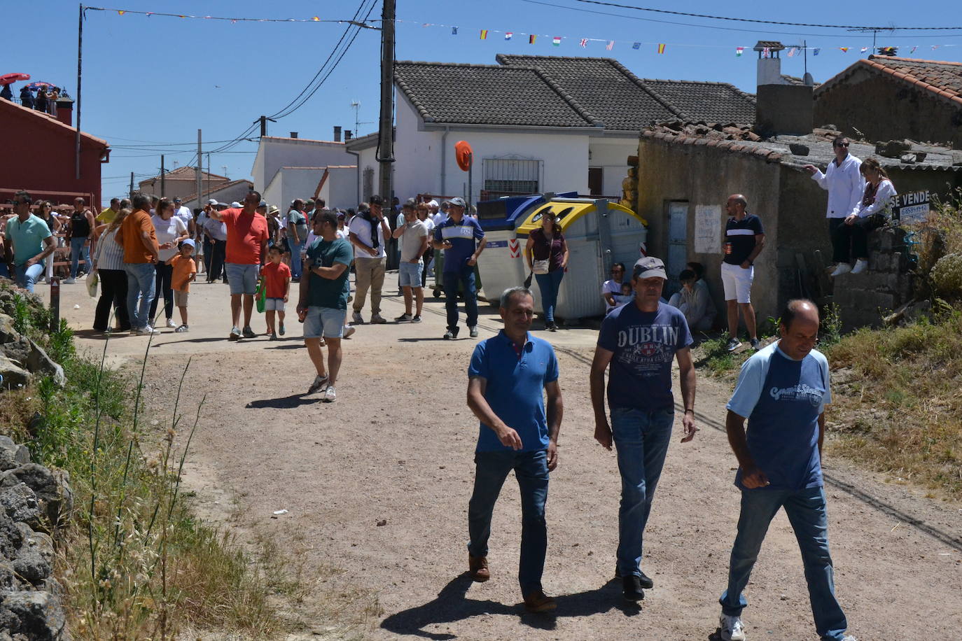 Rápido y vistoso encierro a caballo en Martín de Yeltes