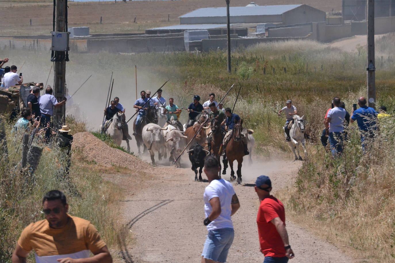 Rápido y vistoso encierro a caballo en Martín de Yeltes