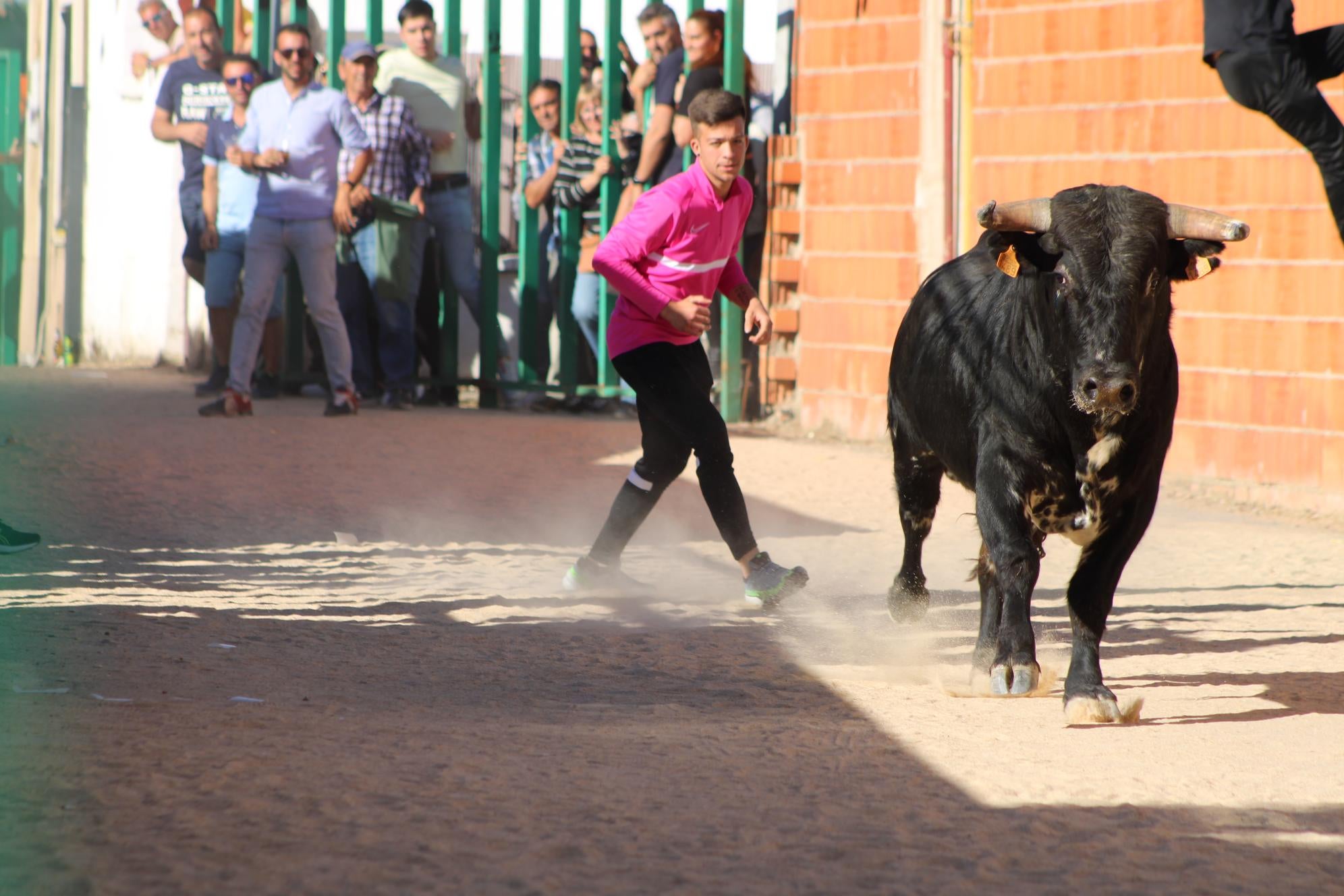 Un herido leve en el Toro del Cajón de Topas