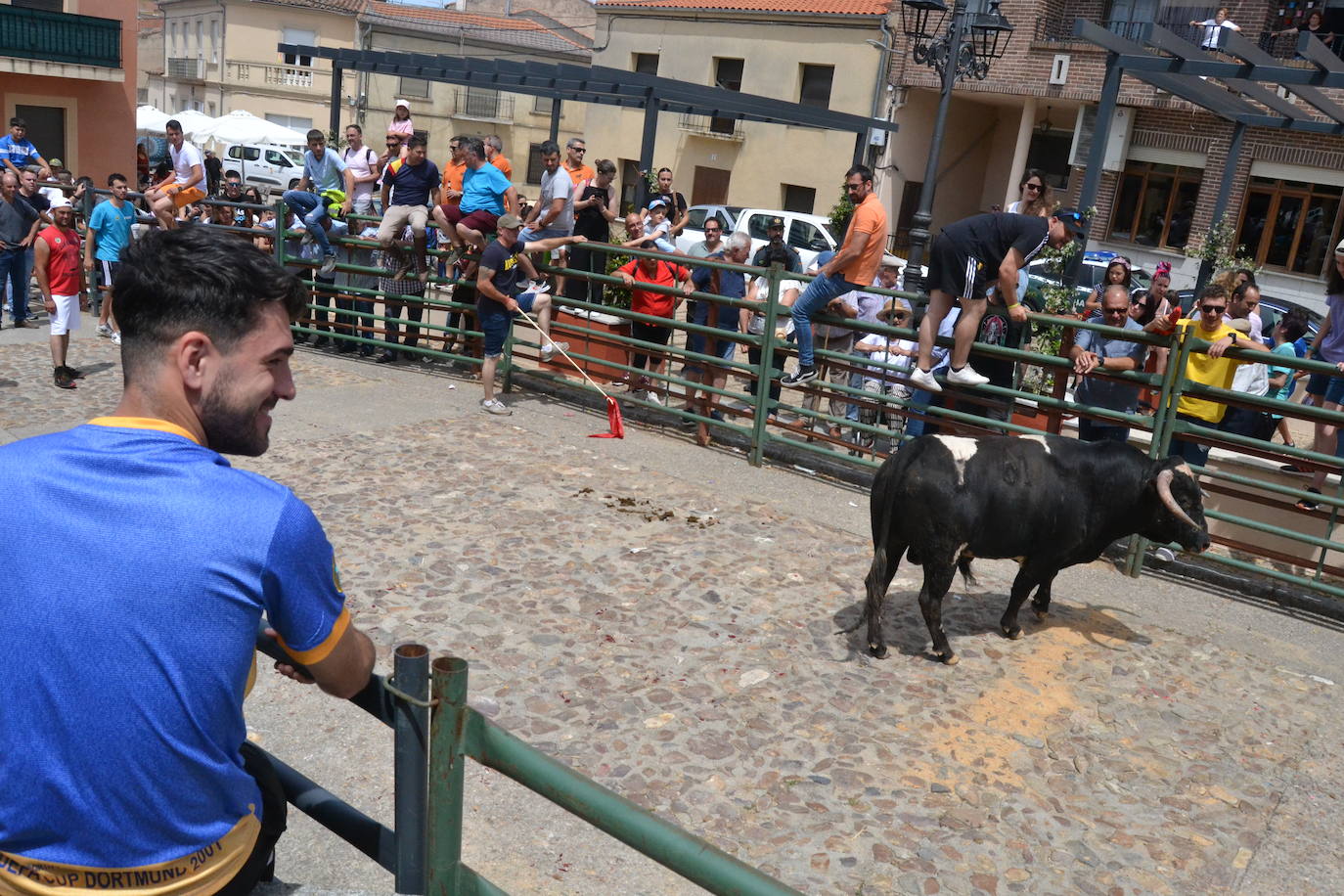 Tensión y riesgo en el Toro de Cajón de Hinojosa de Duero