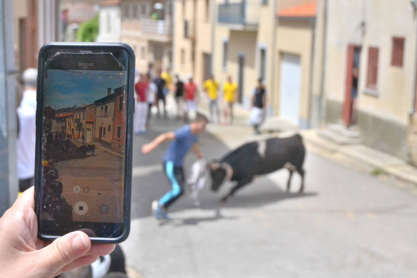 Tensión y riesgo en el Toro de Cajón de Hinojosa de Duero