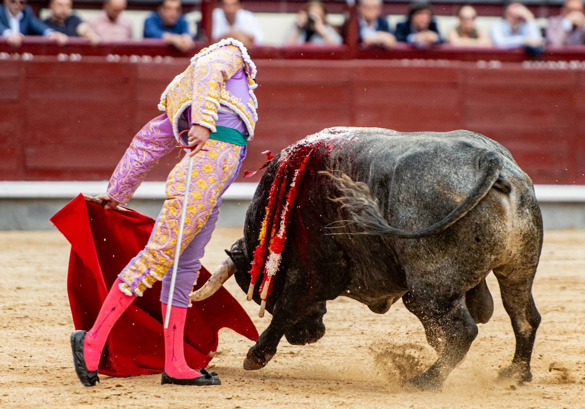 Damián Castaño toreando.