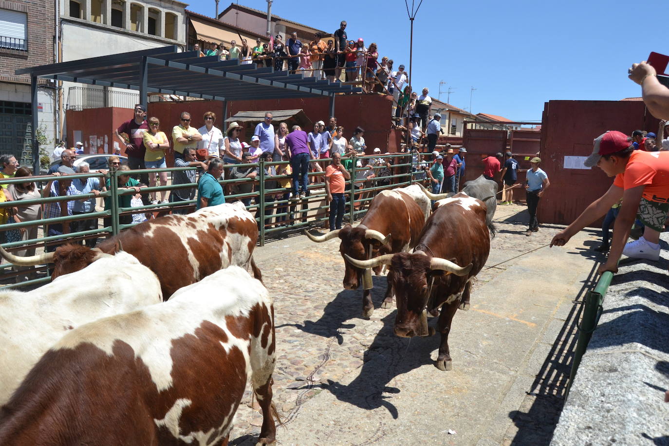 Hinojosa «echa la bandera» para vencer al poder feudal