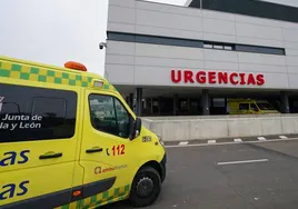 Una ambulancia de Sacyl le trasladó al Hospital de Salamanca.