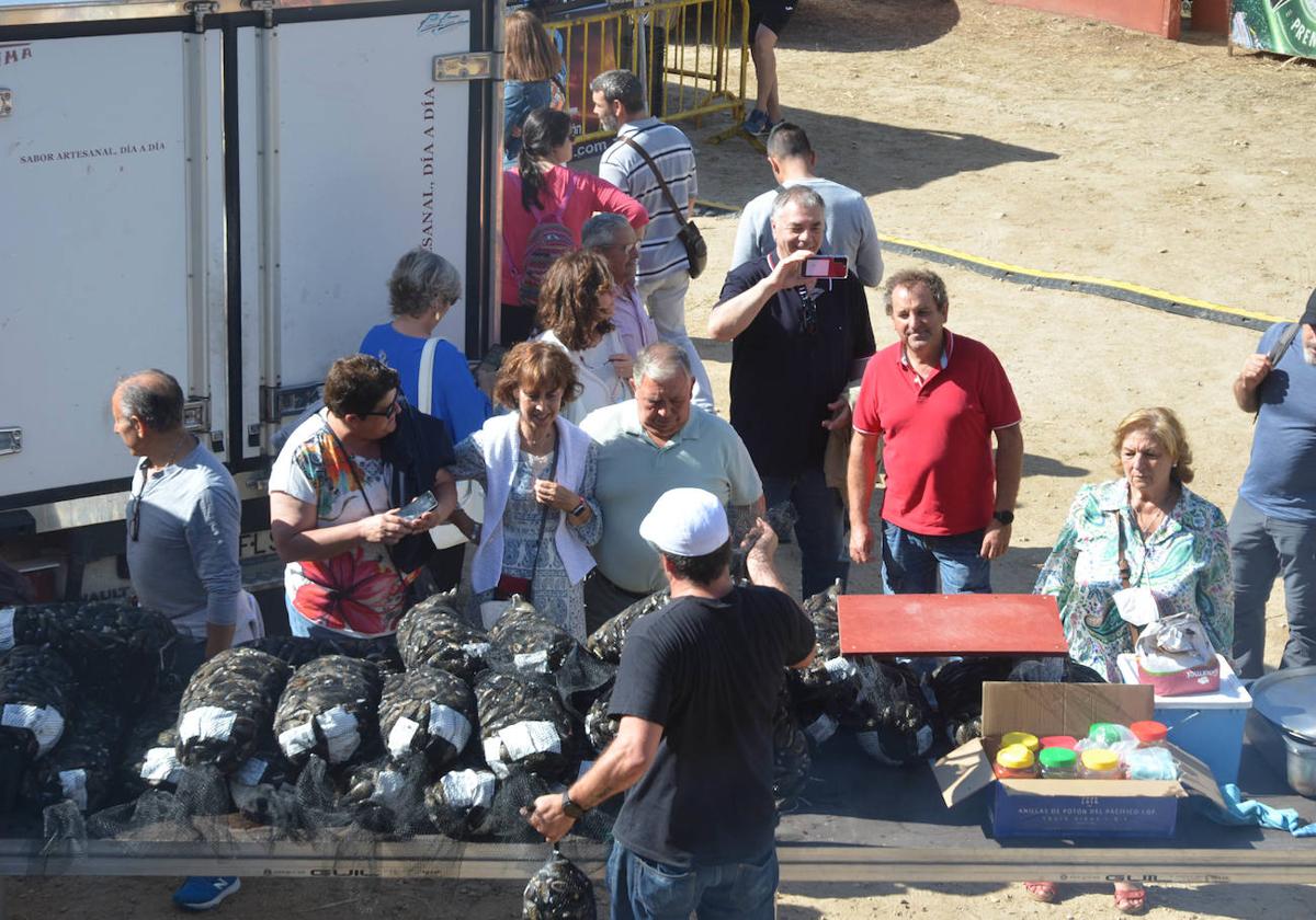 Preparativos de los mejillones en la plaza de toros.