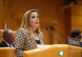 Esther del Brío, durante una intervención en el Senado.