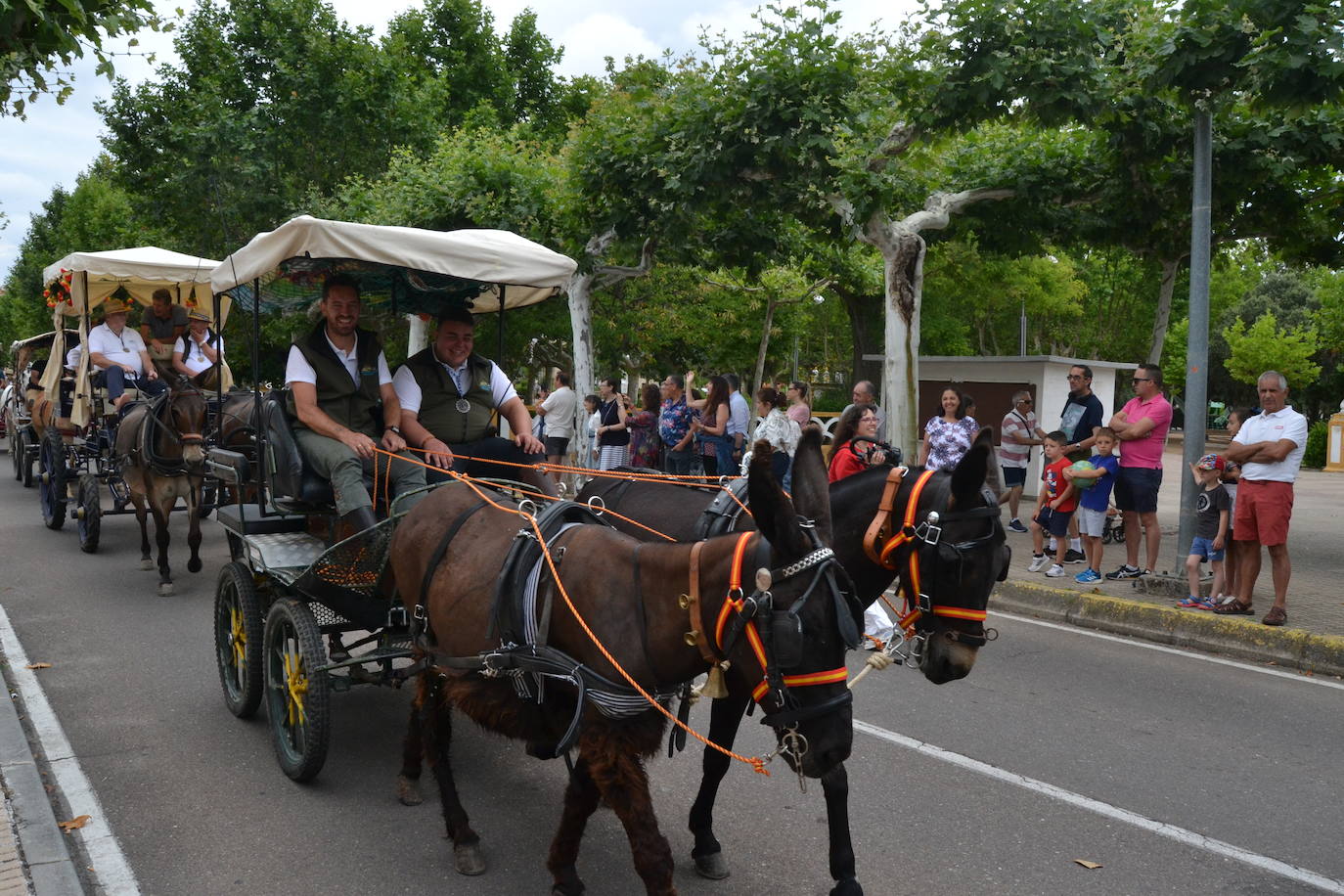 Los romeros mirobrigenses, en camino a la Peña de Francia pendientes del cielo