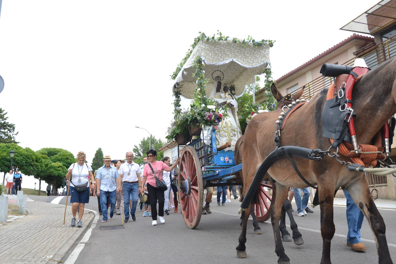 Los romeros mirobrigenses, en camino a la Peña de Francia pendientes del cielo