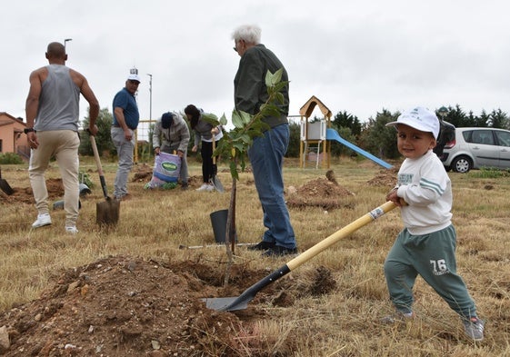 Manuel participó activamente en la plantación de varios árboles