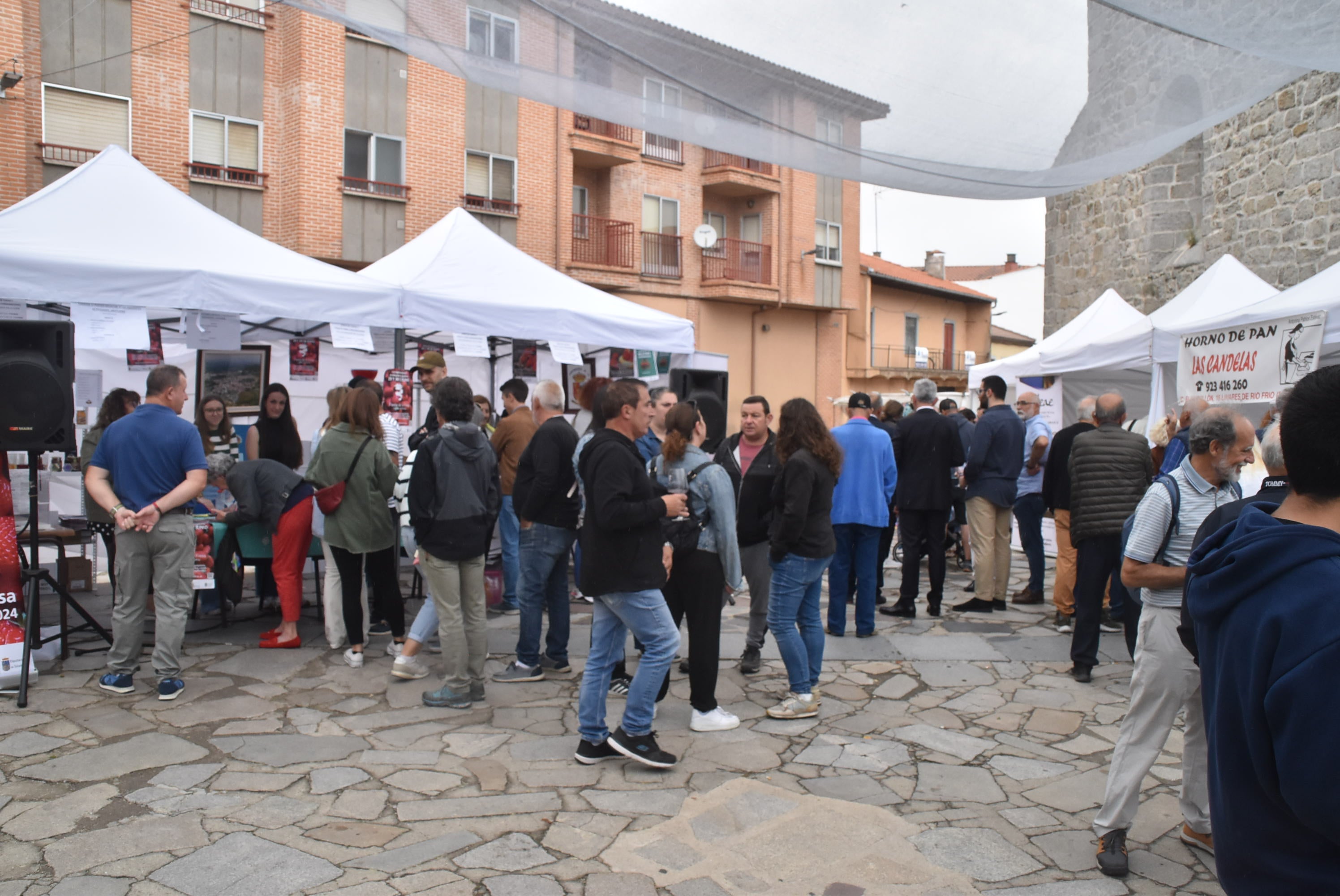 Linares reivindica su fresa autóctona