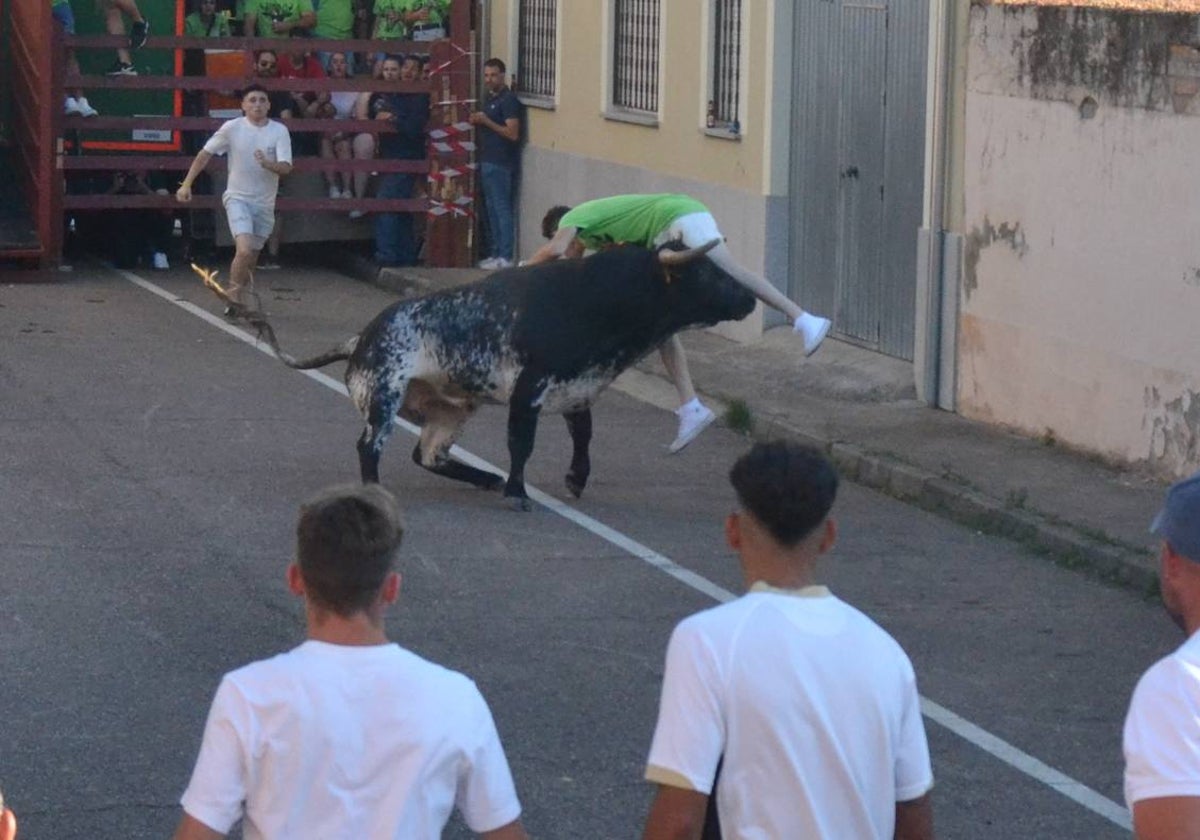 Susto en la capea de Barrio Nuevo de Miróbriga