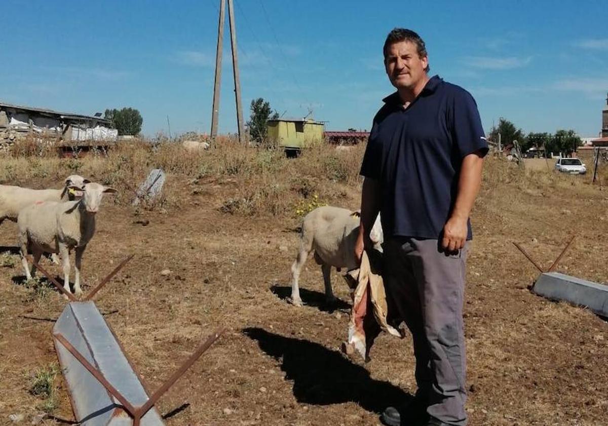 Sebastián García, con ejemplares de su rebaño.