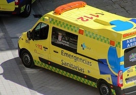 Una ambulancia de Sacyl se trasladó hasta el lugar para atender a la afectada.