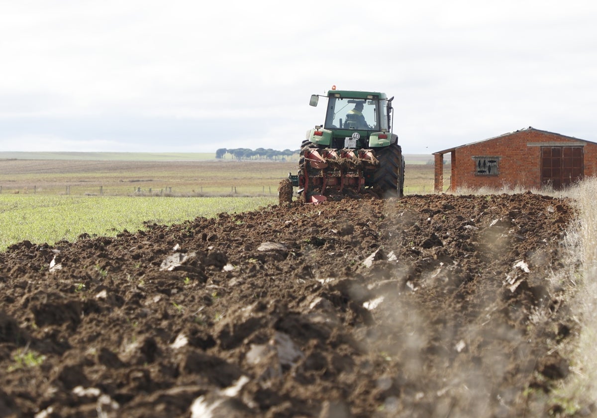 Agricultor labrando la parcela con el tractor.