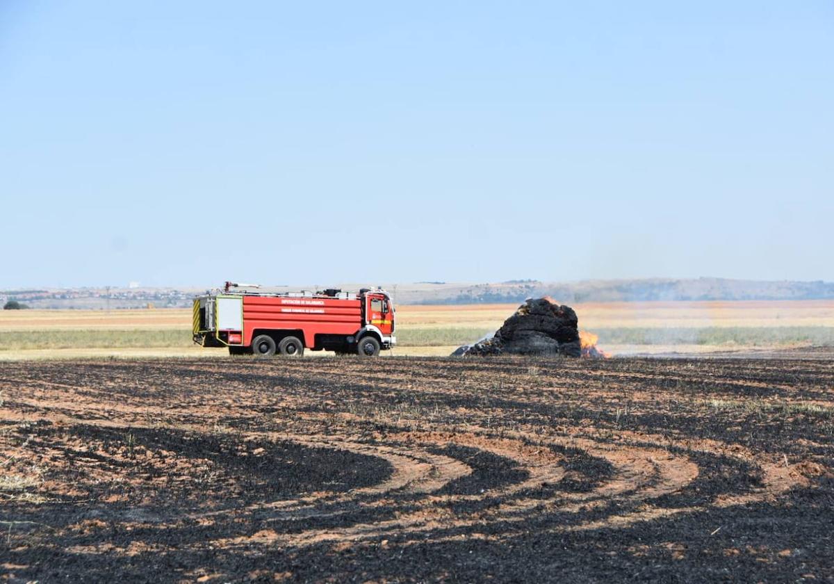 Imagen de la intervención de los Bomberos en el cultivo.