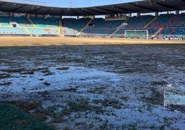 Aspecto del estadio Helmántico, tras una de sus sesiones de riego, en el que se aprecian los primeros brotes verdes.