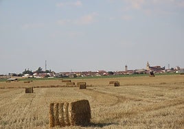 Paja sobre una parcela recién cosechada.