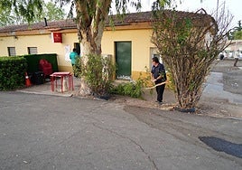 Bar del campo de fútbol de los cuernos.