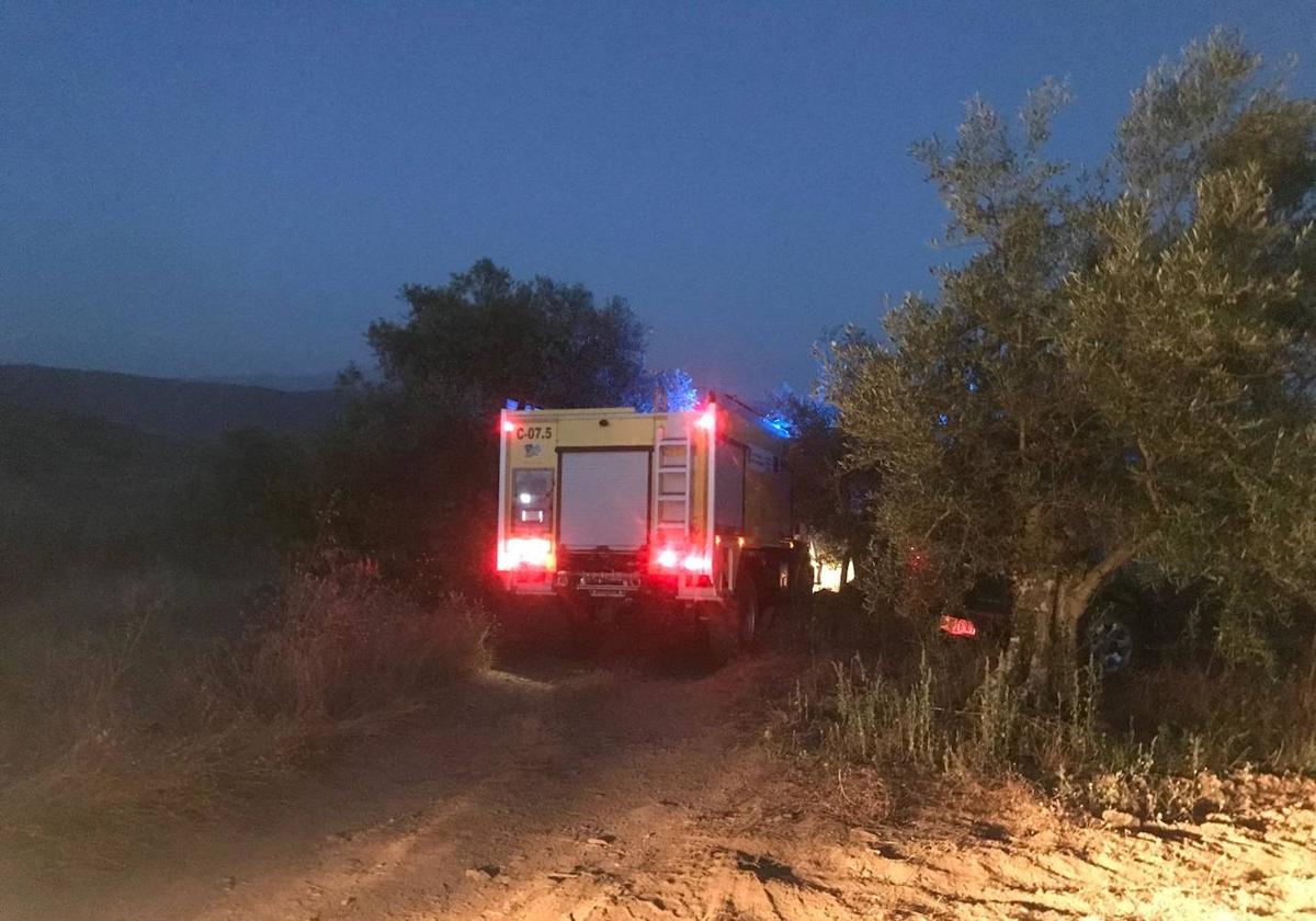 Los Bomberos de la Diputación, en el lugar en el que se ha declarado el fuego.