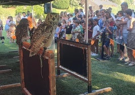 El público, ante las aves rapaces.