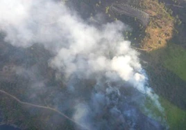 Imagen del fuego declarado en la localidad de Villarino de los Aires.